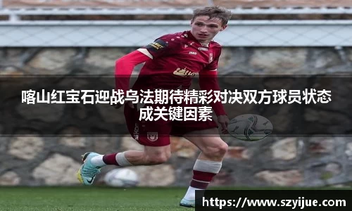 leyu乐鱼体育
